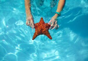 beautiful colorful starfish in girl hands in blue bright summer water