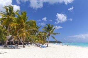 caribbean-paradise-beach-front-with-palm-trees-d-2022-11-14-05-05-33-utc