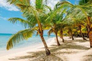 luxury-caribbean-paradise-beach-blue-ocean-and-pa-2022-11-04-04-18-27-utc