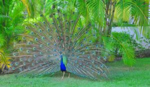 punta-cana-2022-11-11-08-56-42-utc