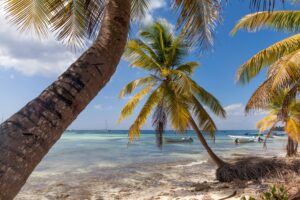 tropical-paradise-in-dominican-republic-peaceful-2022-11-14-05-16-52-utc